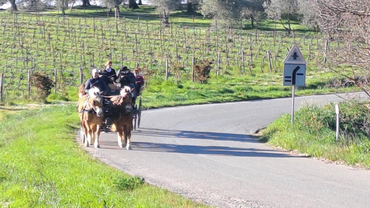 Romitorio di Castiglione del Lago Esterno foto