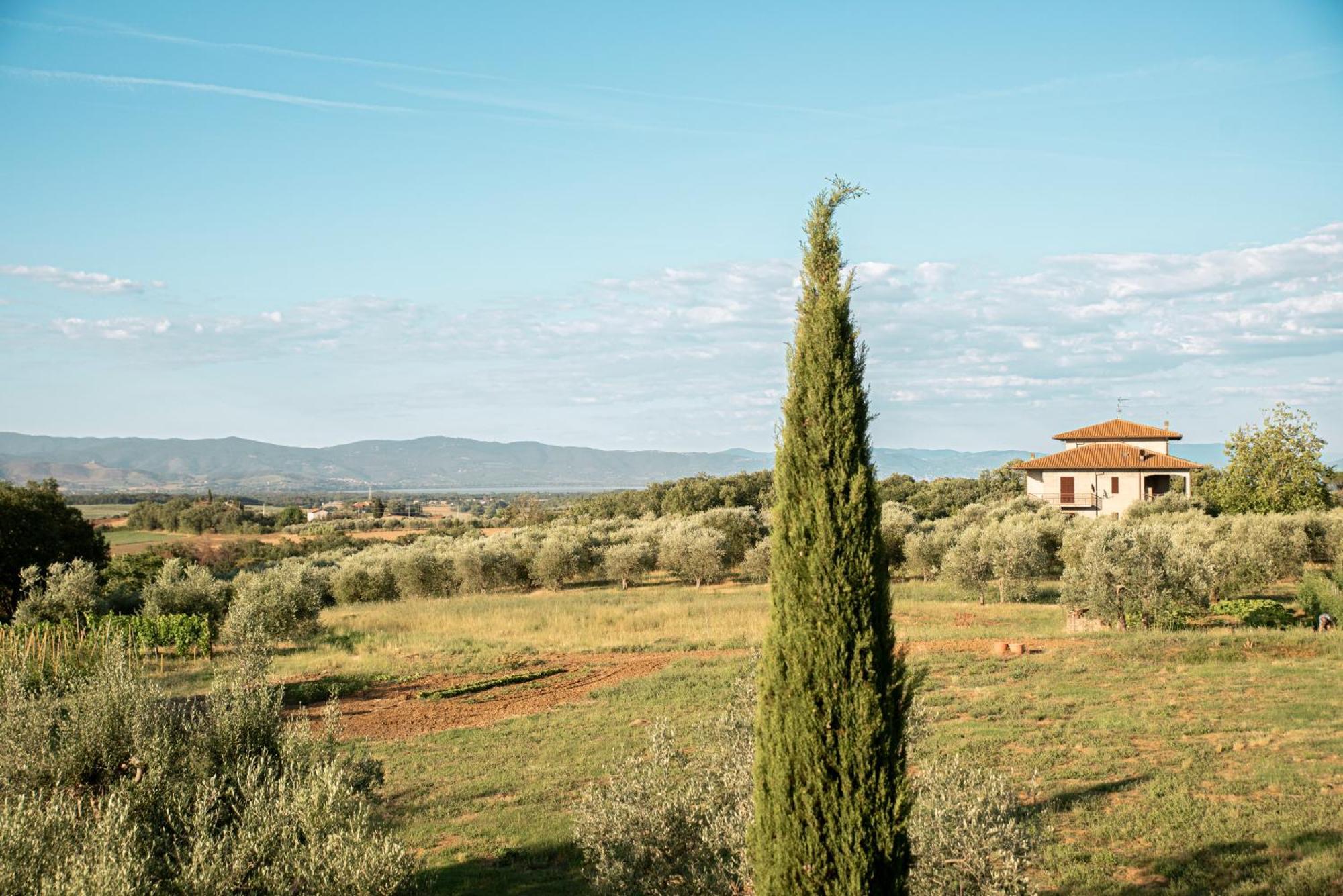 Romitorio di Castiglione del Lago Esterno foto