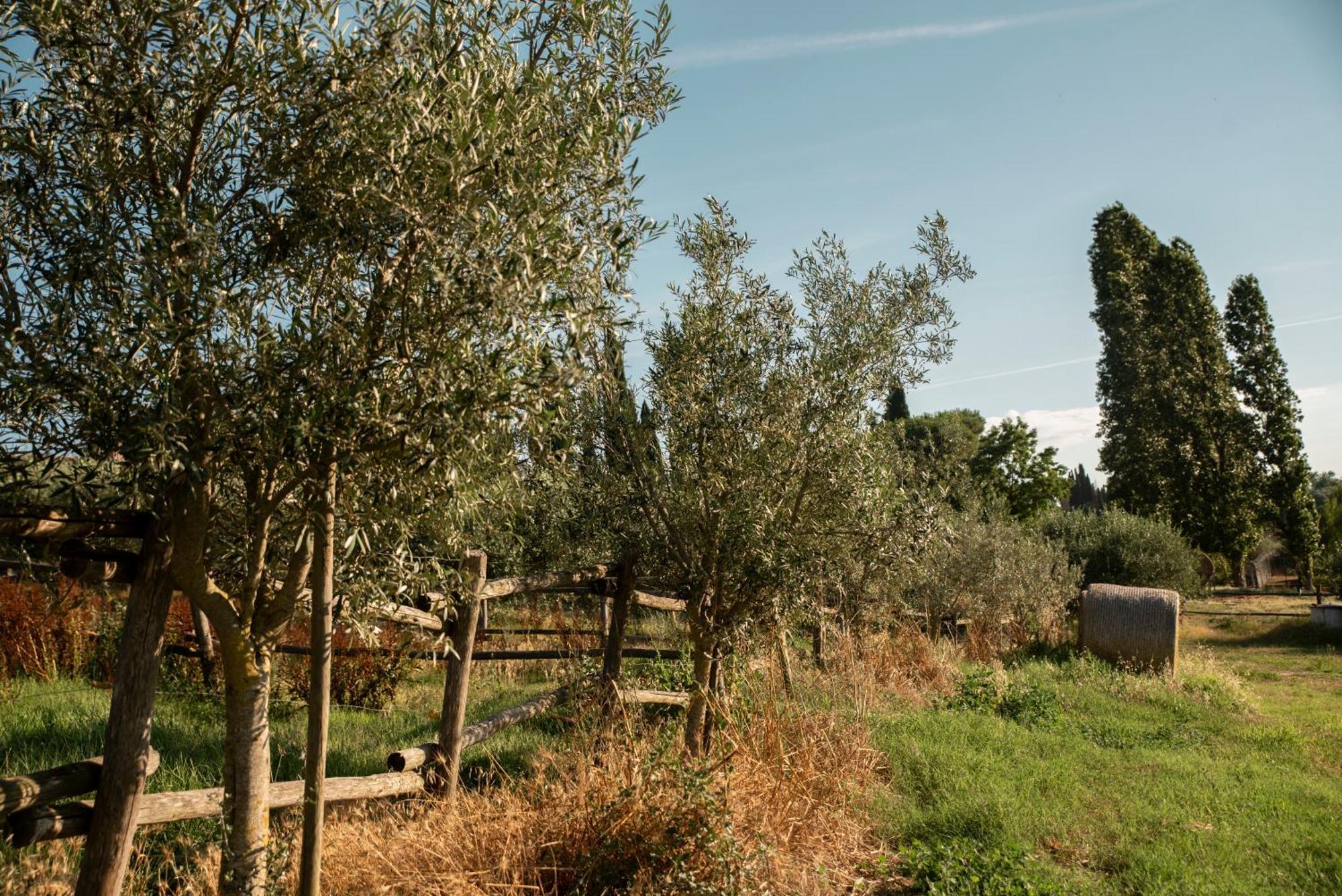 Romitorio di Castiglione del Lago Esterno foto