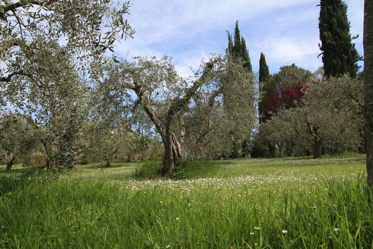 Romitorio di Castiglione del Lago Esterno foto